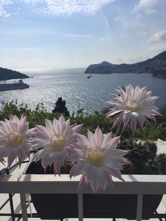 Apartment And Room Sveti Jakov Dubrovnik Ngoại thất bức ảnh